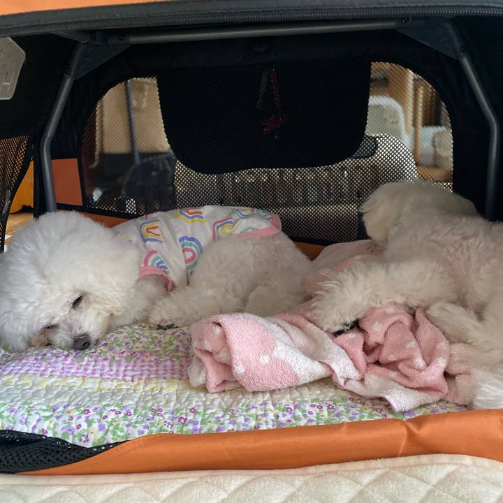 E143e4d9 b6a3 4301 b201 9934b9cc4d73 1749176118393