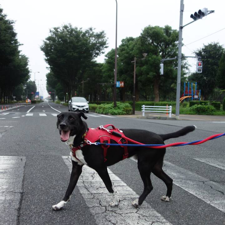 E1440233 94d8 44fb be27 75b70445ef77 1595288930146