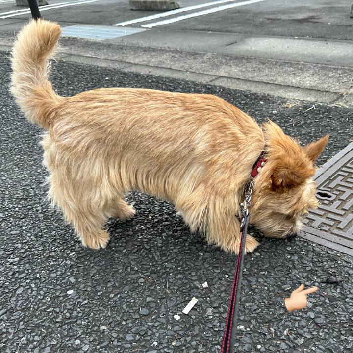 E14440c0 97de 4134 98be 924f4a0c6cbb 1751783592677