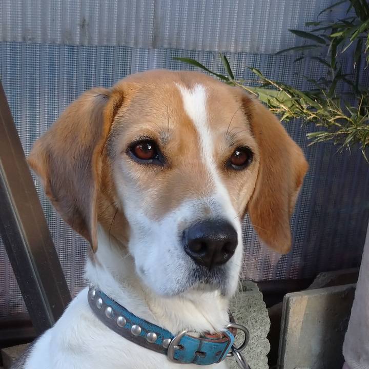 E144743e cb53 4bd5 a505 40a8486406c3 1608693913032