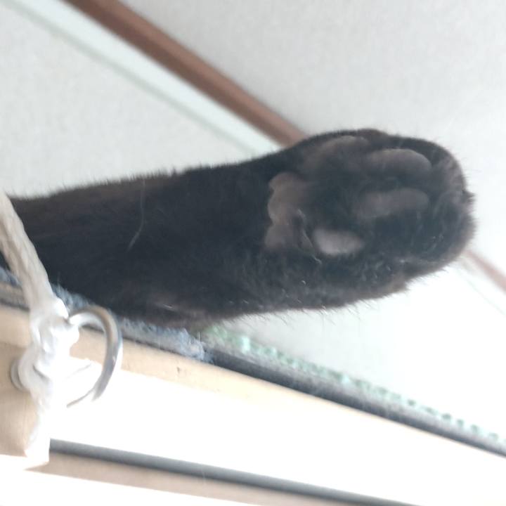 E1448cfe 8a69 403b aec5 2ddafdba3278 1640840009528