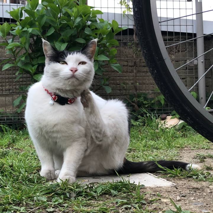 E144b970 c87c 447b b0b7 cb9ca59fceb5 1617275862420