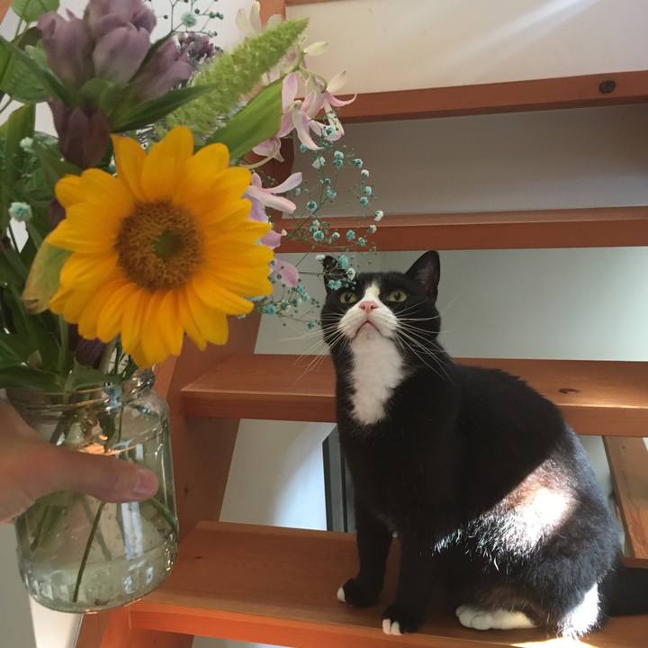 E144ebae f3d1 49ea b7b3 68a111530619 1531179868994