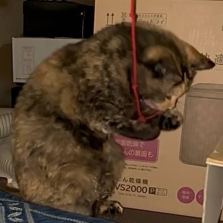 E14520d7 2c68 49aa 82b2 c161359fe81c 1763498515550