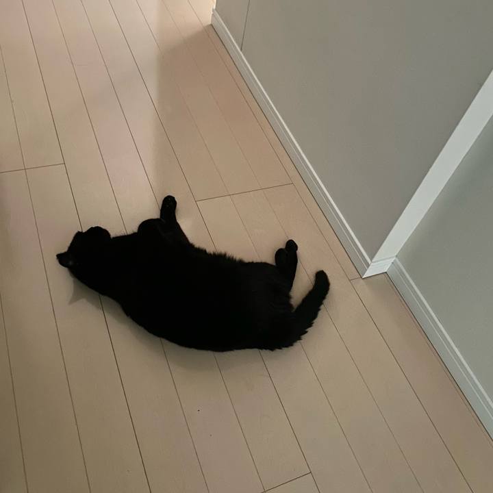 E1455531 ad7b 46a6 9291 fddb92296dc3 1722328783303