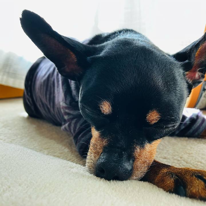 E14557ee faa5 44a7 85e7 cb3dc4b9b5c7 1739586956204