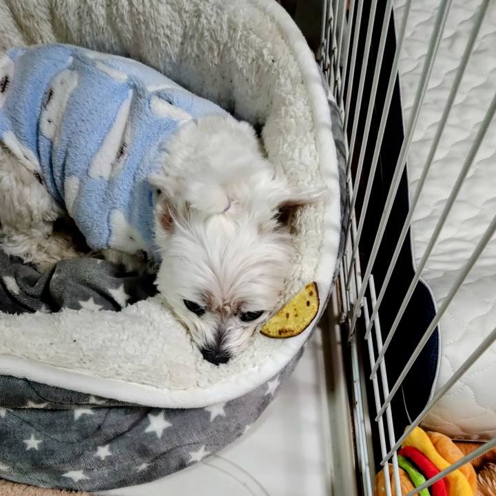 E145a73f 528b 4996 bebf f2cb91fdbc04 1737807728245