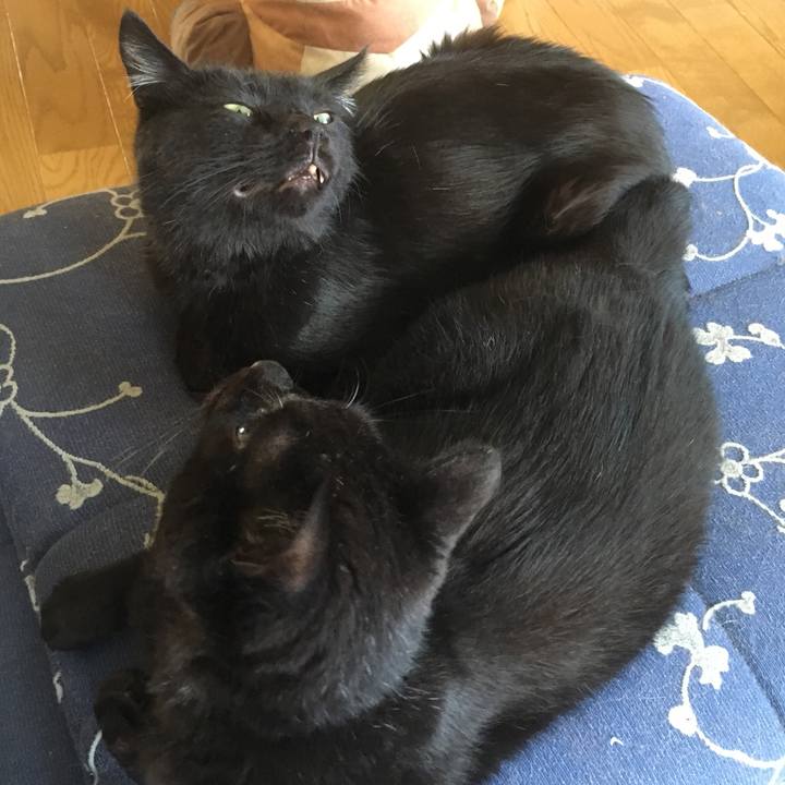 E145b3dc 5103 4880 9ded 891135e5c37f 1533109626720