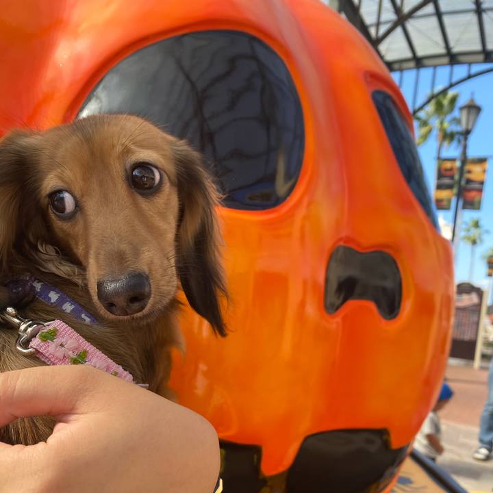 E145f885 2376 4568 a58c c71e4f0368d1 1633237863573