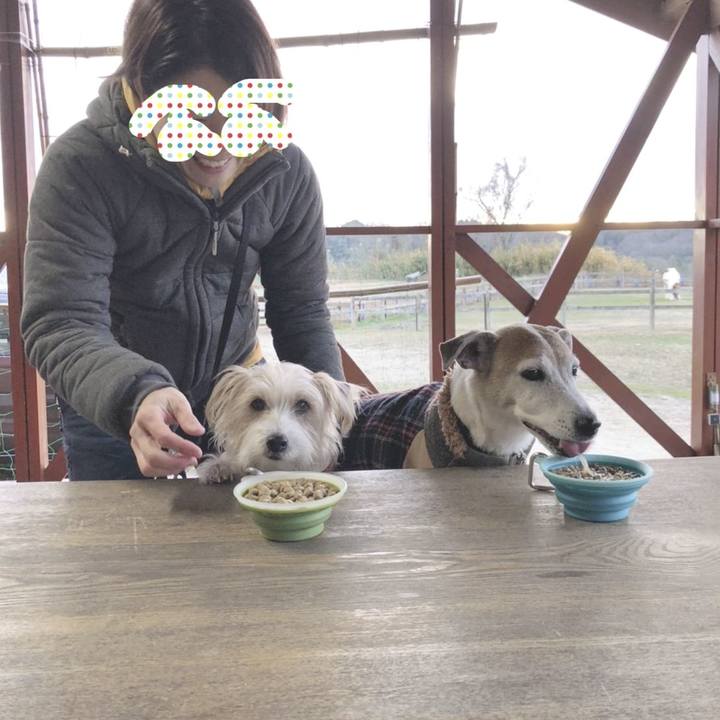 E145ff66 b227 45e8 8036 0577f7adc1d3 1577840695122