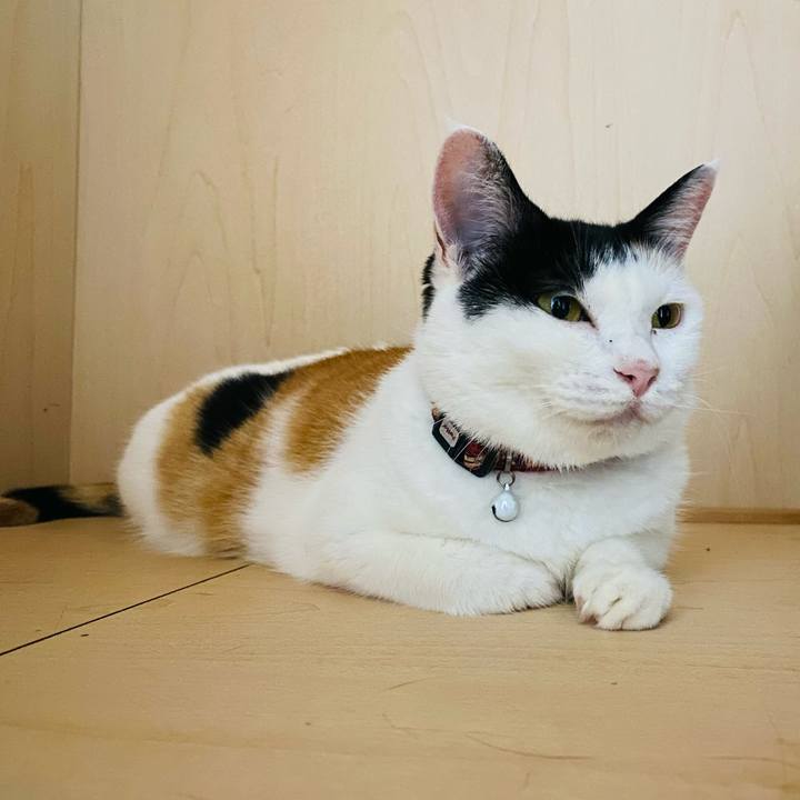 E146059d c674 4904 b43d 653f4bd321b3 1661435704951