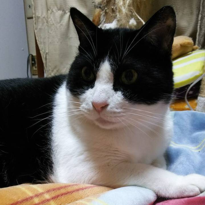 E14637f6 4da8 422e b63e b5b080497719 1539812766515