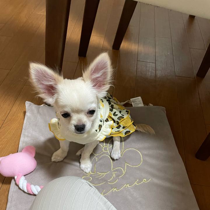 E14653cf 95e0 4766 b31f ba84352a49b1 1663125427624