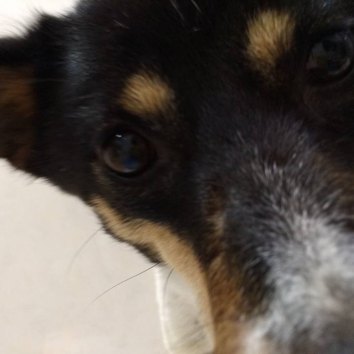 E14659ce 83d0 4f2c bc5c cb27af754555 1546520521175