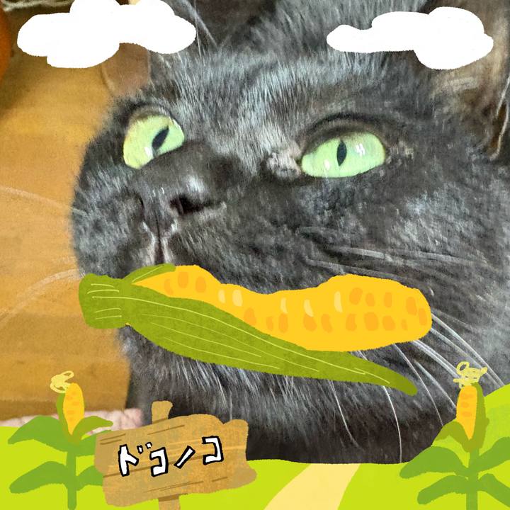 E1466c72 e064 4c4f bfa9 e1313c0f86be 1786616714551