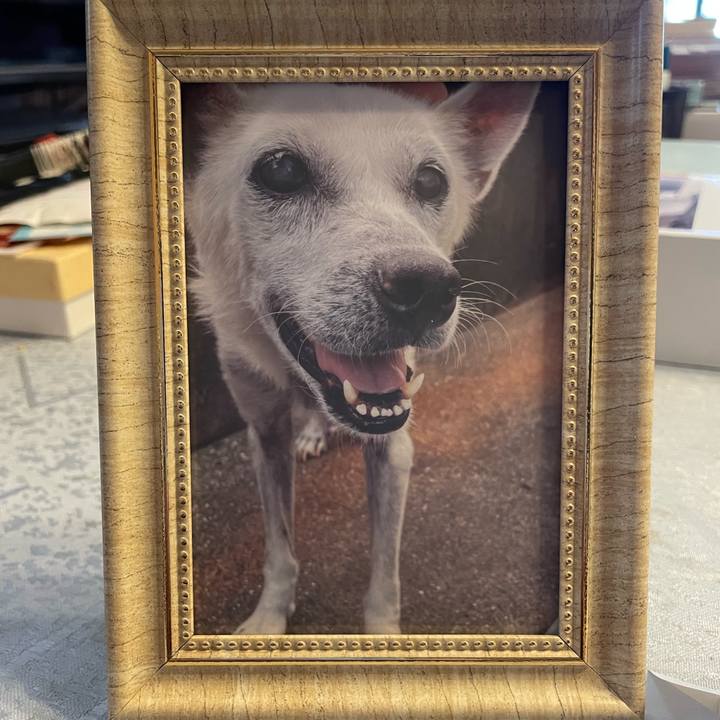 E1466cae ddd0 4988 ad21 3066edb4bf9c 1697337827506