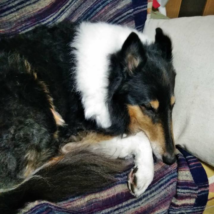 E146d9e5 2817 432d b6d3 c0031071af99 1512799670042