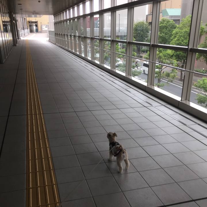 E1472113 e99b 47de b4da dd1d8244bef2 1568427842339