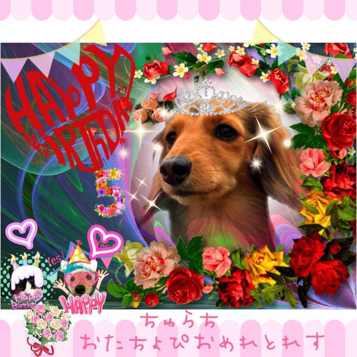 E1473fb5 4eb3 4b20 b965 b9cf80a5eb2a 1522914653420
