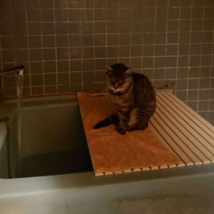 E1474e0c 6662 4873 aa8f 74e86c0f6d7f 1573719309963