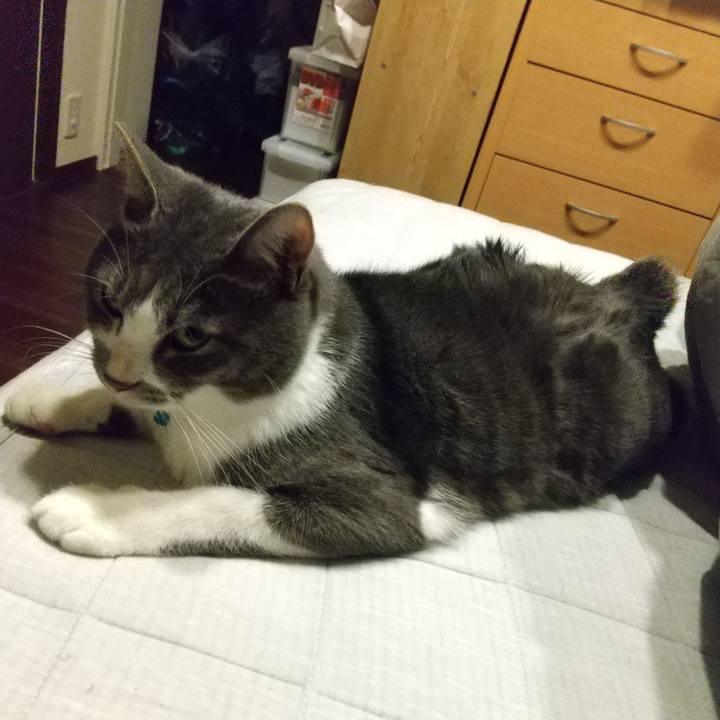 E147710a 6256 4c50 bfea 31a76f5ede38 1604400674691