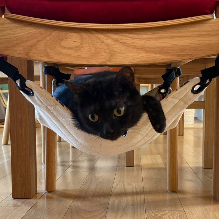 E14793c6 dded 4ec7 bb2b ddbb5adb0123 1570789104914