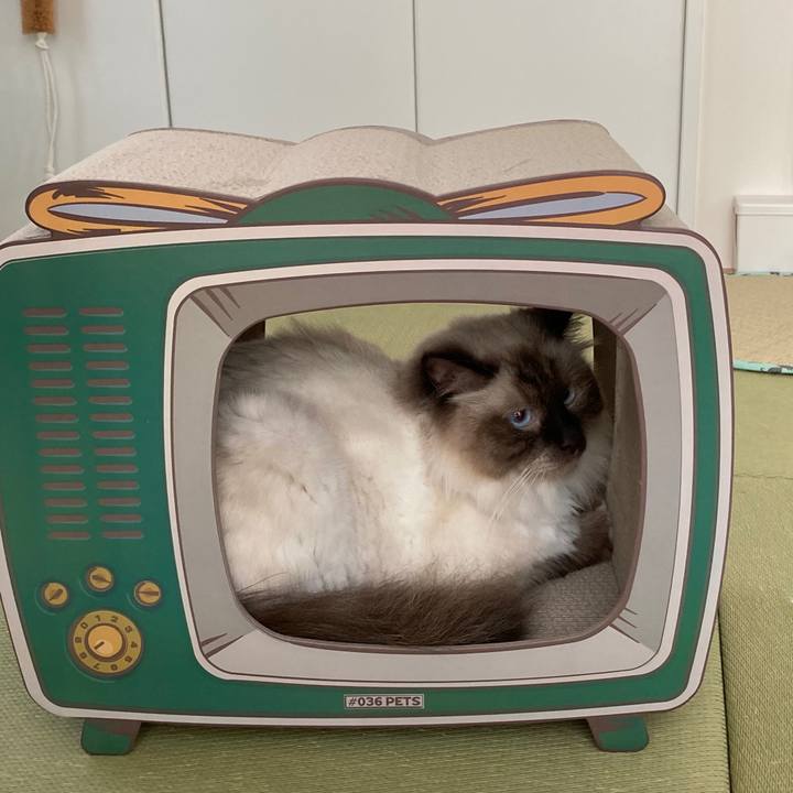 E147a204 a676 45ba a6e6 4e5b8569be21 1597474850749