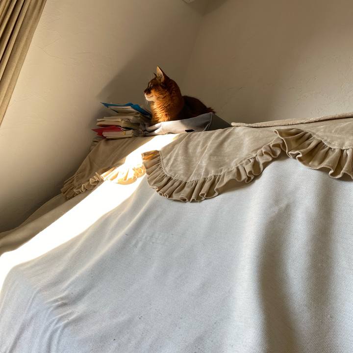 E147d22b da85 4462 8969 0a85f1834add 1666738342592