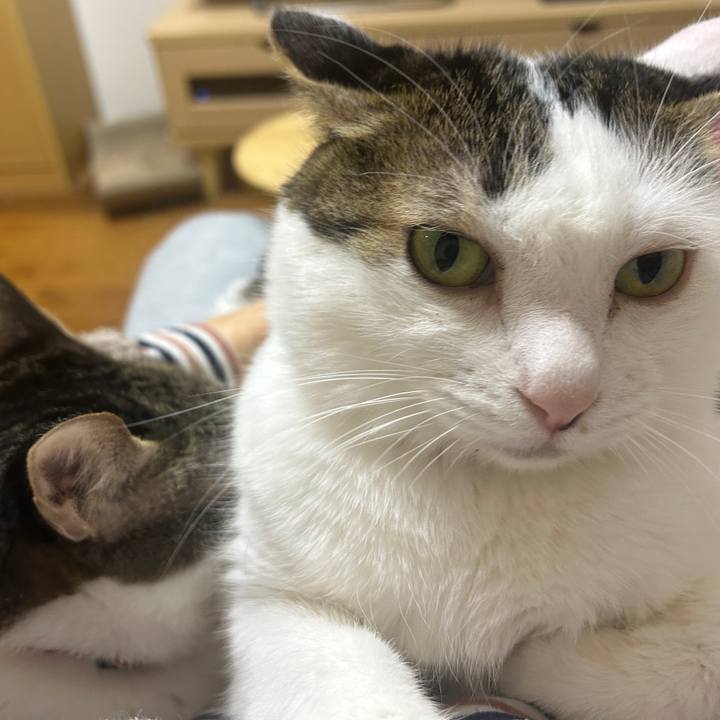 E147ee08 0eb9 4ee3 8b24 1b1b26208c1d 1763820666777