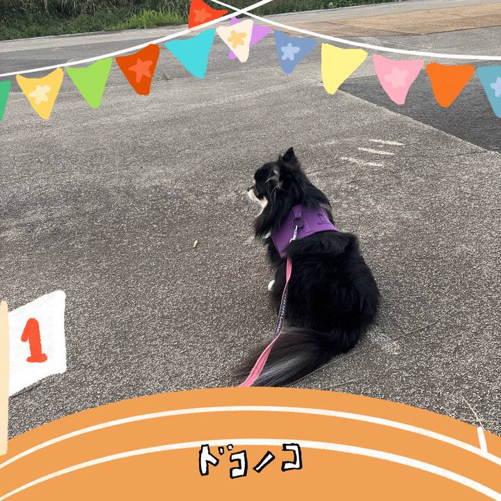 E1481210 f879 444f 9c77 112b4916ff62 1761291833592