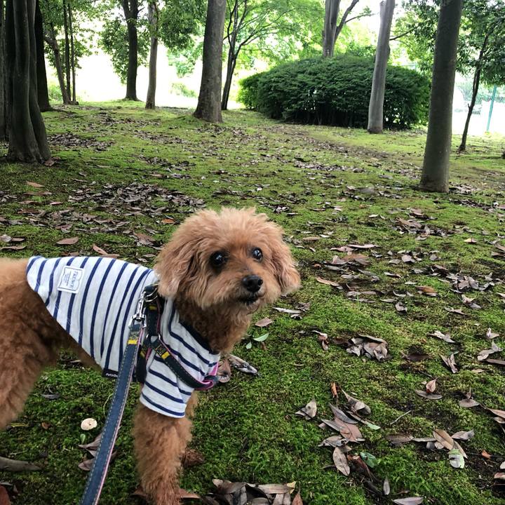 E148618a 55b9 4e92 8490 41b19a546d55 1626176307971