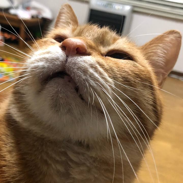 E1488ee9 c4b6 40b4 ba65 f963a986e987 1650454191918