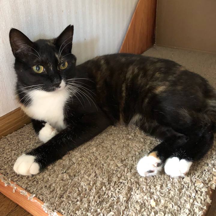 E1489cd3 52b5 4f3d 9b4c 37a12d8de212 1558997181205