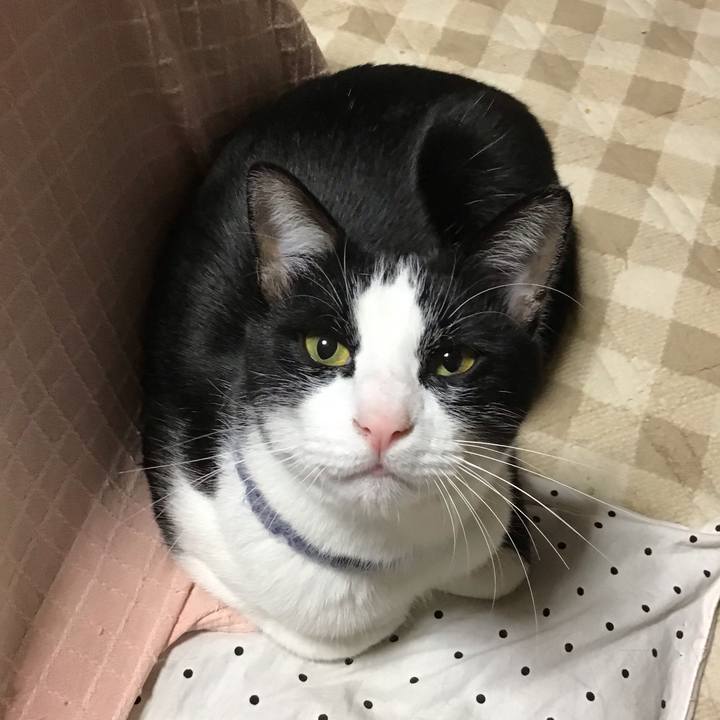 E148a57b 91e5 4c03 81d3 c4cb3f9ef1ad 1669033864894