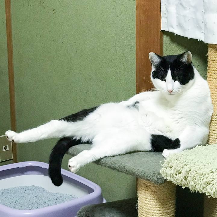 E148cb1f c5b7 477f b64f ada6810b0164 1518139281519