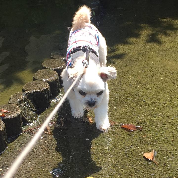 E14900db 8c91 4029 b483 e5fb3542317c 1566011752291