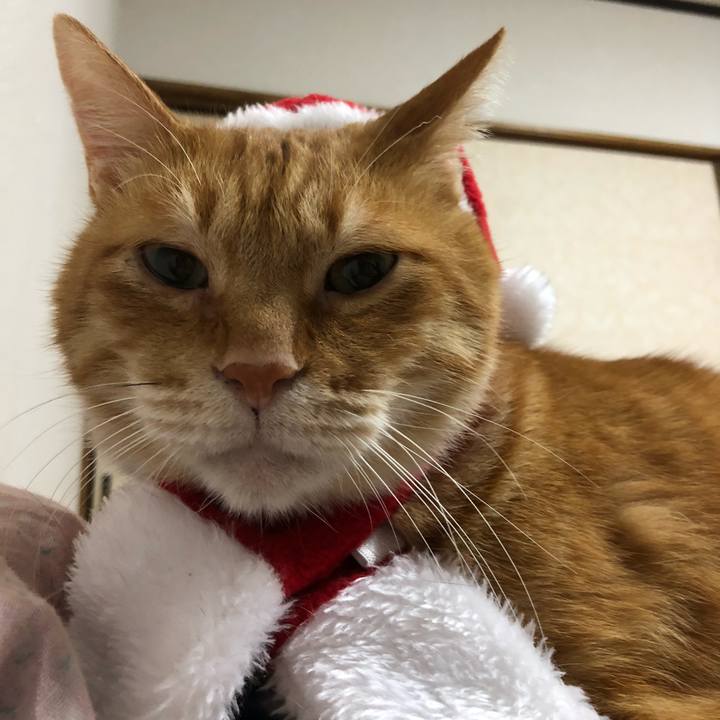 E14901cf b6db 4a25 8212 06cc8e90eeaa 1637322926143