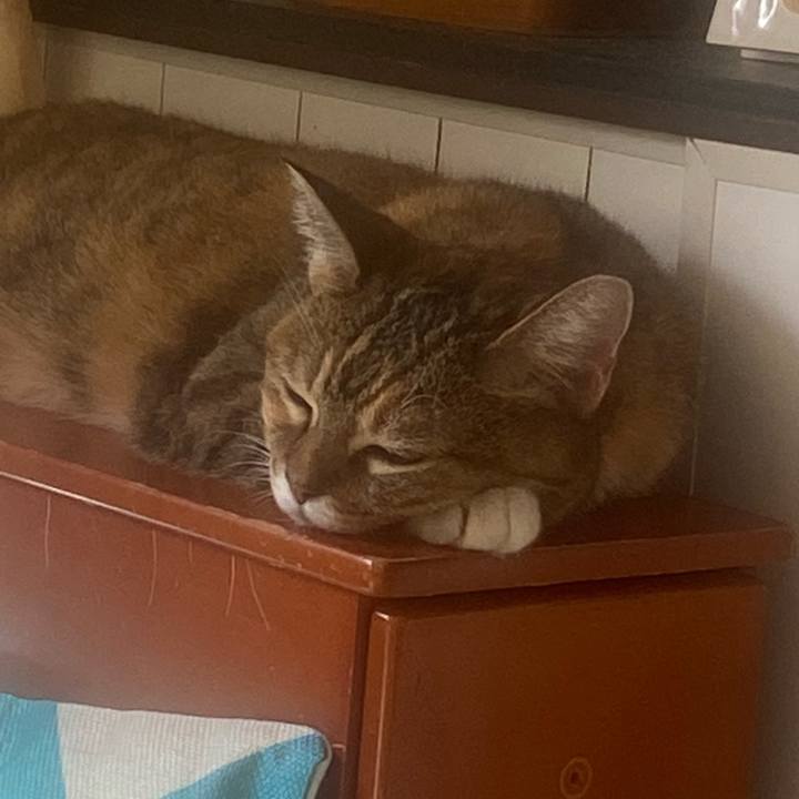 E1490e17 743c 44f9 91e7 d9635108f0c0 1694995197932