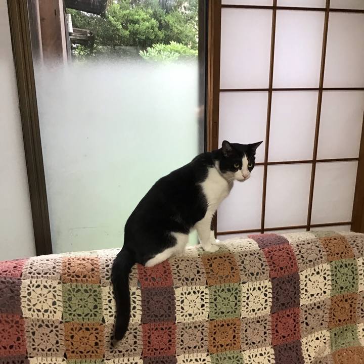 E1491a7a b6f4 4800 b26c 45dc9aabc817 1719130726836