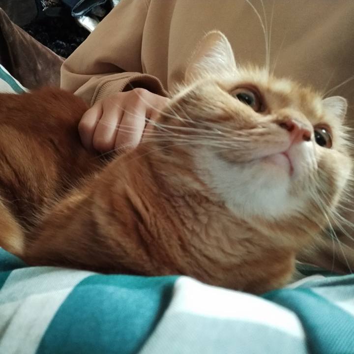 E1492b44 4a2a 4734 a98e d3792a46a586 1603687002384