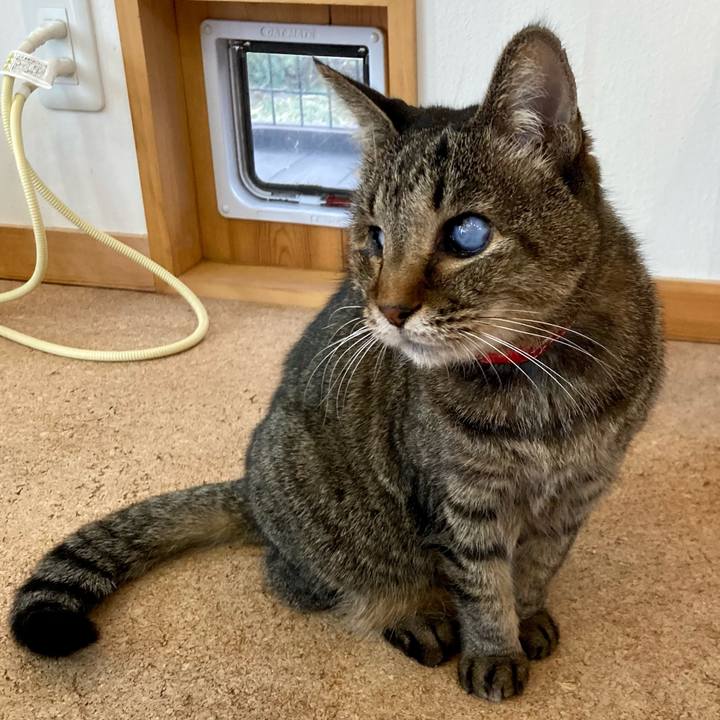 E14949a3 5bfa 426b 8232 0831c4251ef7 1641773606353