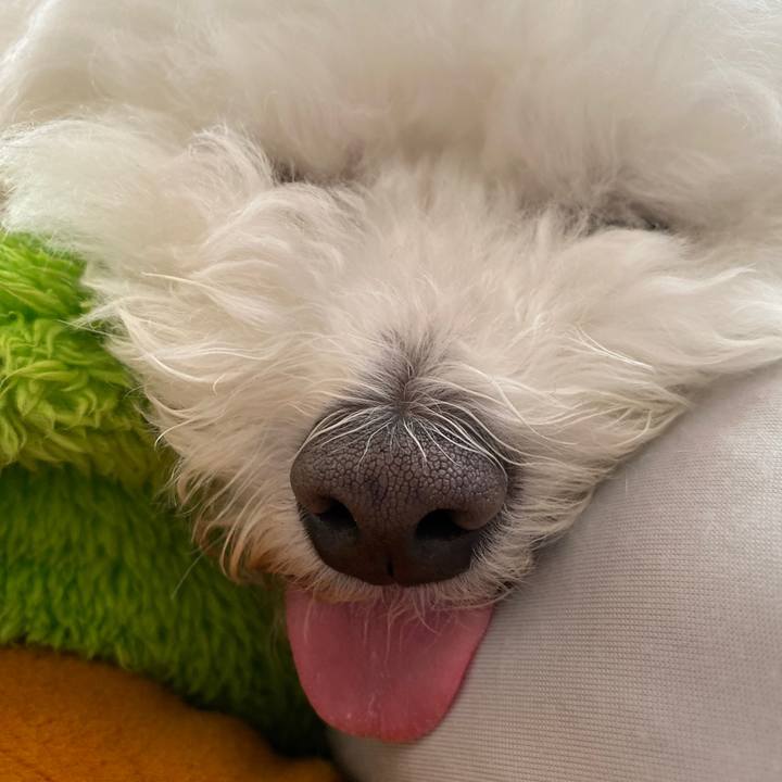 E1494a43 4673 454f b55e 9abb89f2756a 1619483500573