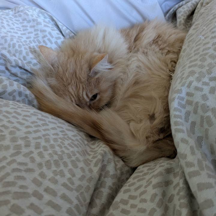 E1494a77 8d3e 4b4c b7a6 c57a1fe6a84b 1742522221974