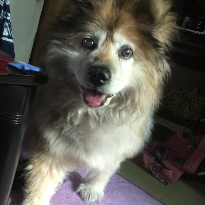 E1498328 81c7 46fa a6e2 653e52a5198c 1552722580675