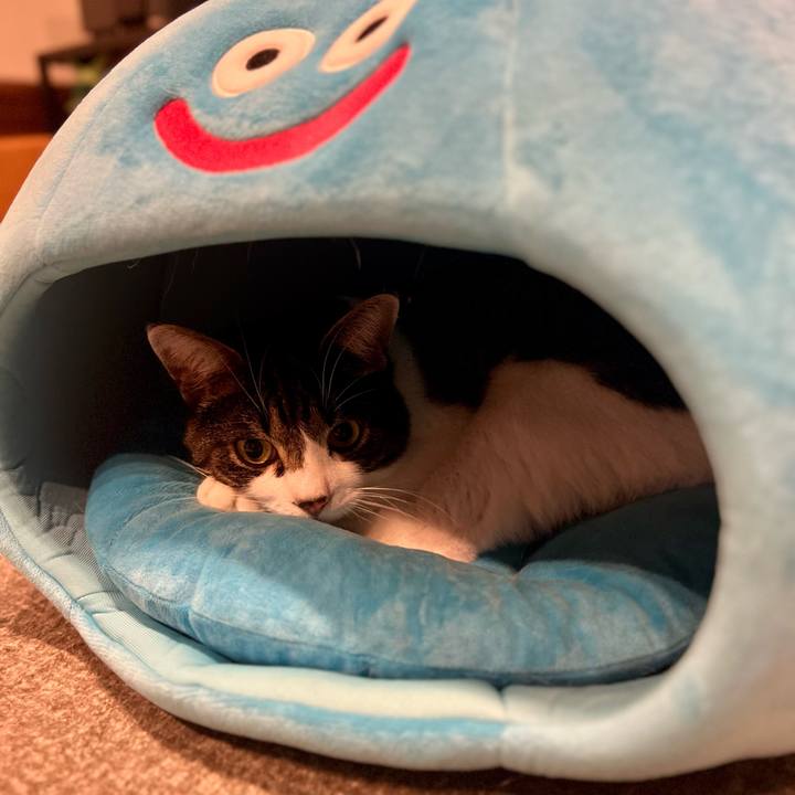 E1498584 2ced 4713 b09f 8b77b693facb 1765976194253