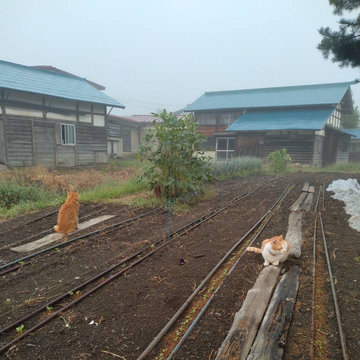 E1499df0 136a 42a1 8e35 fbf23a825eab 1757239706895