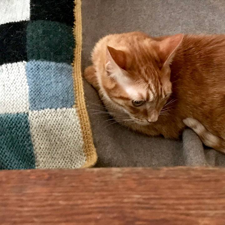 E149a1a6 a8a6 4ac9 b527 1461bb9e532f 1550231733804