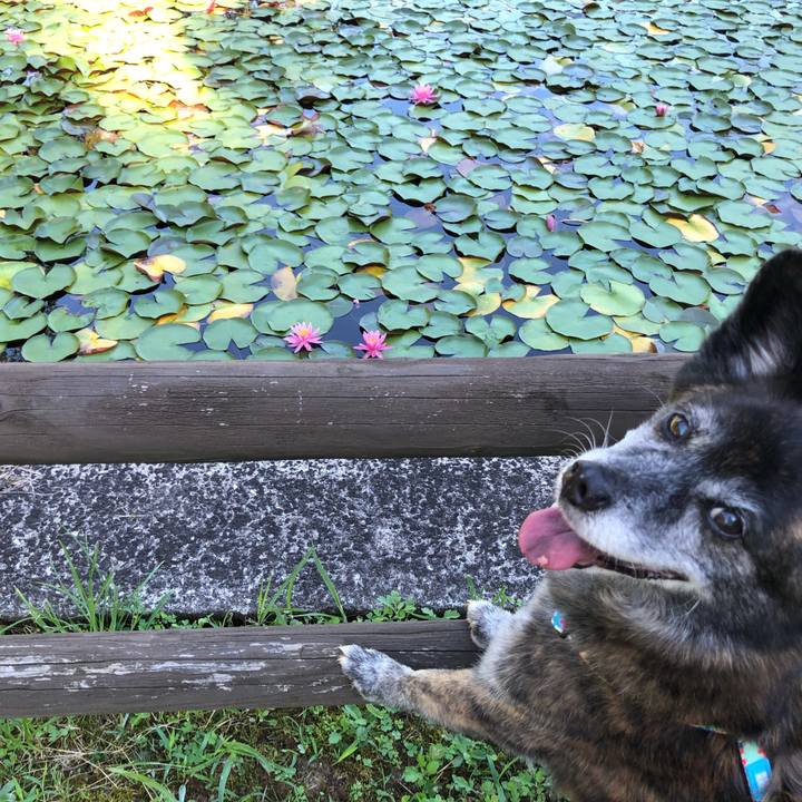 E149e657 a780 4e65 9725 2815b7776a79 1691195190640