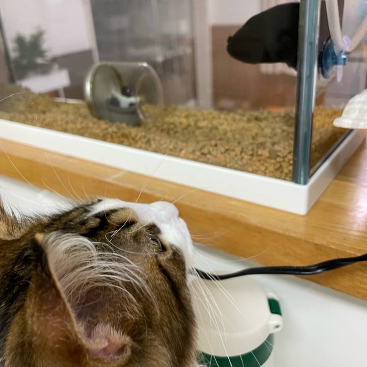 E149edbd ee28 4401 a1d9 6018831f3e9c 1637149006149