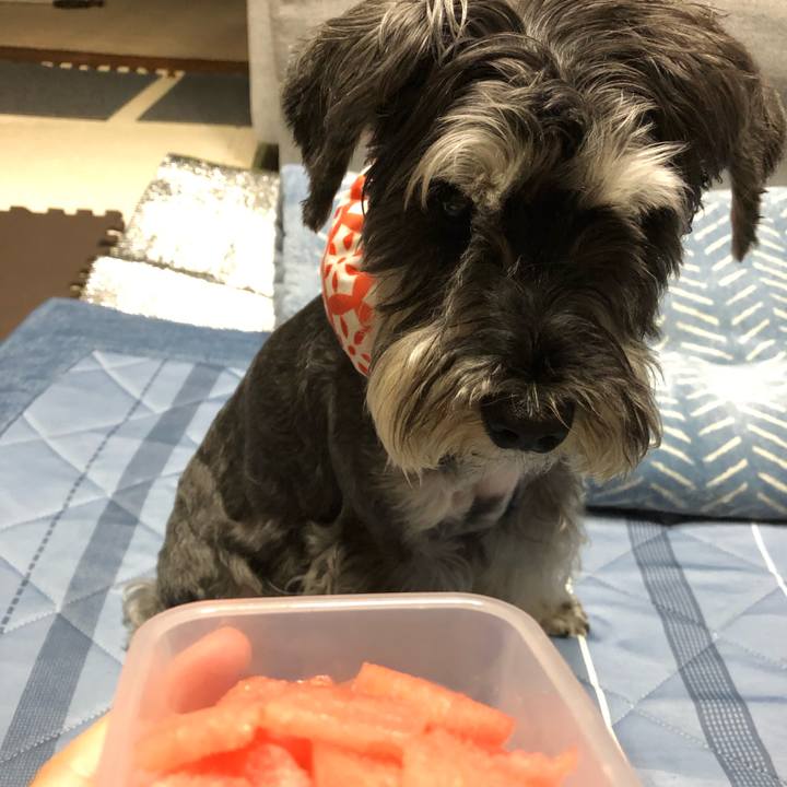 E14a0dac 0f94 450e bbb3 83ad25d10f20 1689604076642